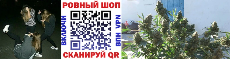 Продажа наркотиков Лыткарино Псилоцибиновые грибы  АМФ  Марихуана  MEGA вход  ГАШИШ  A PVP  КОКАИН  Героин 