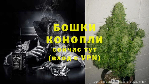 стаф Березники