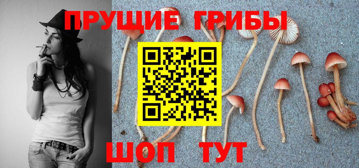 купить наркоту  Лыткарино  Галлюциногенные грибы ЛСД 